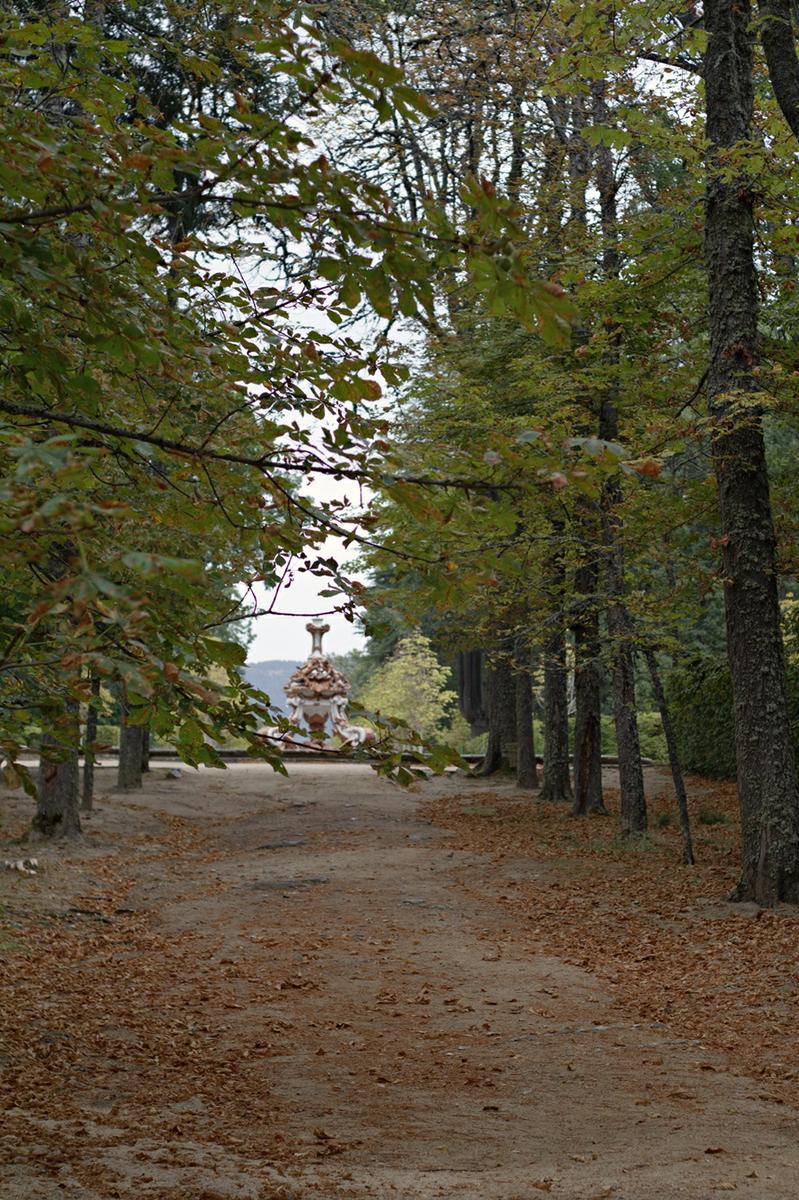 LMAL5-PASEO-BAJO-LA-LLUVIA-12 - copia