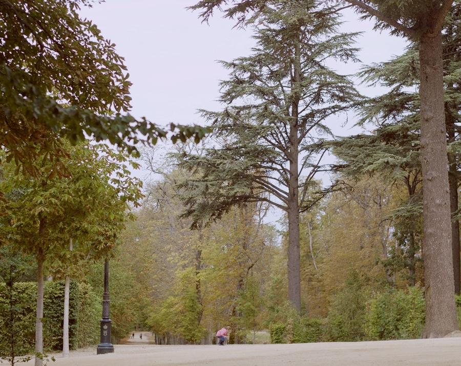 LMAL5-PASEO-BAJO-LA-LLUVIA-11 - copia