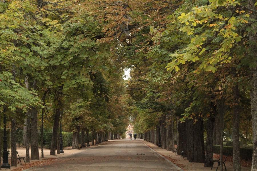 LMAL5-PASEO-BAJO-LA-LLUVIA- 2 - copia