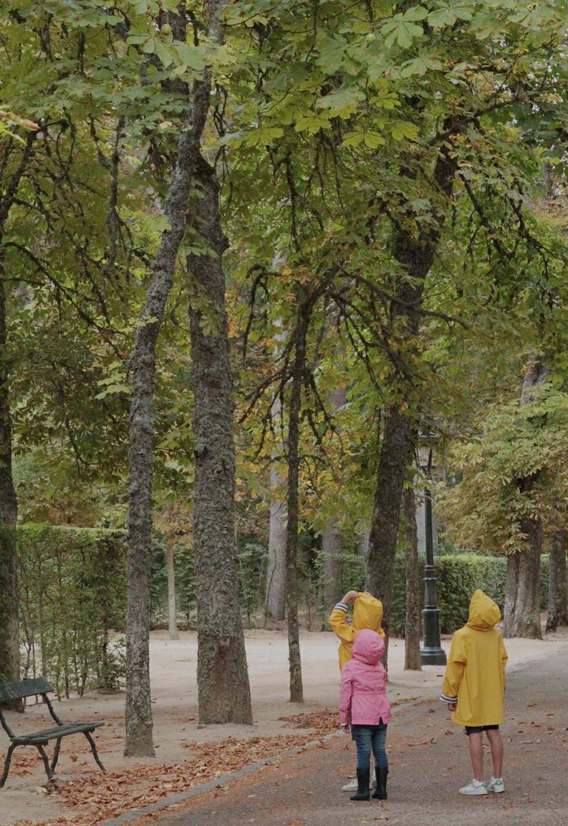 LMAL5-PASEO-BAJO-LA-LLUVIA- 3 - copia