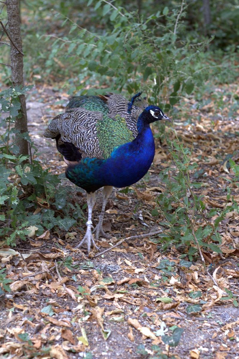 LMAL5-PASEO-BAJO-LA-LLUVIA- 9 - copia