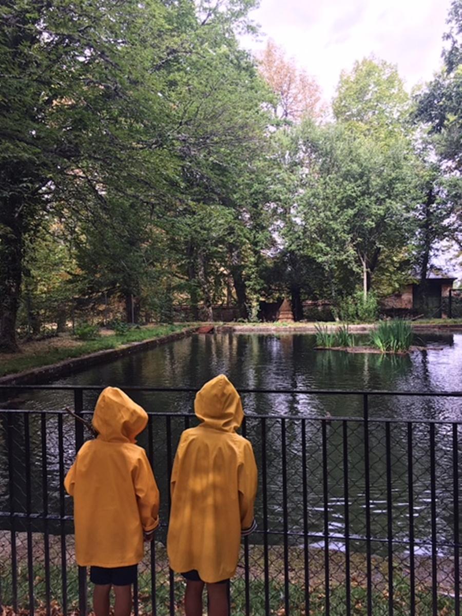 LMAL5-PASEO BAJO LA LLUVIA 3