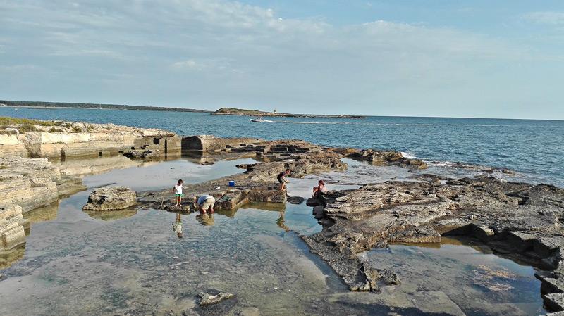 Gastronomía Islas Baleares