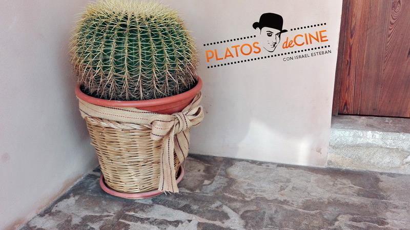 Vegetación Islas Baleares