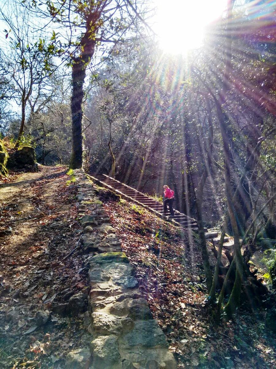 Ruta da pedra e da auga