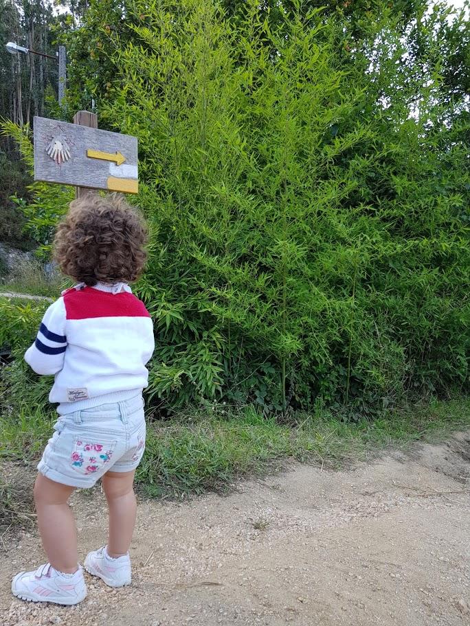 Ruta da pedra e da auga