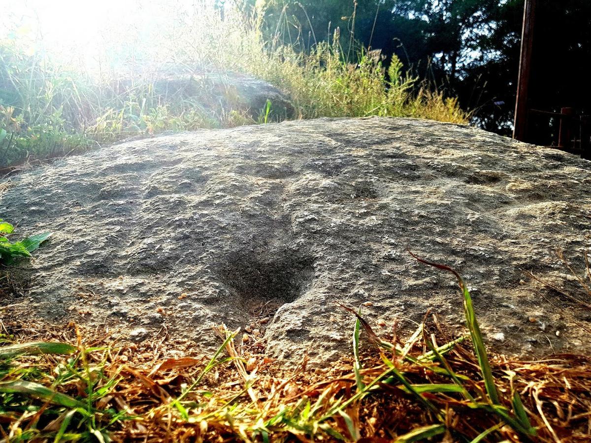 Petroglifo do Muíño do Con