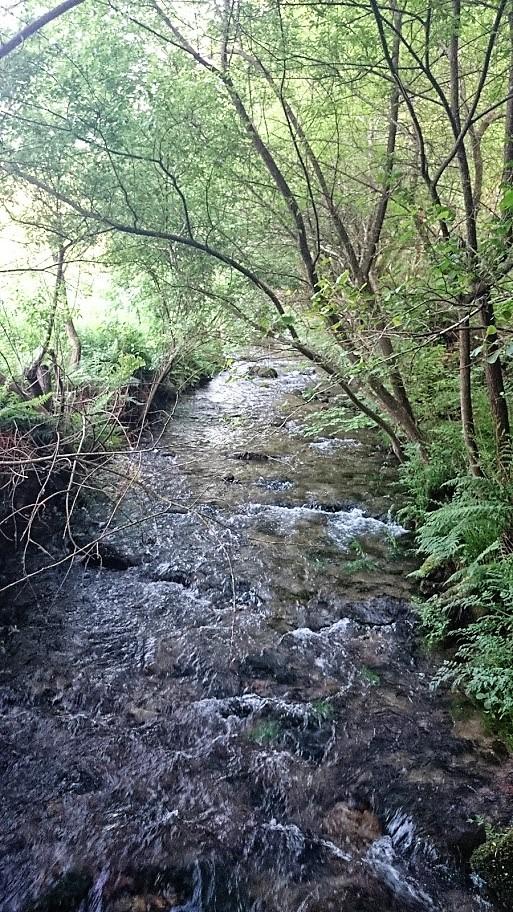 Ruta da pedra e da auga.
