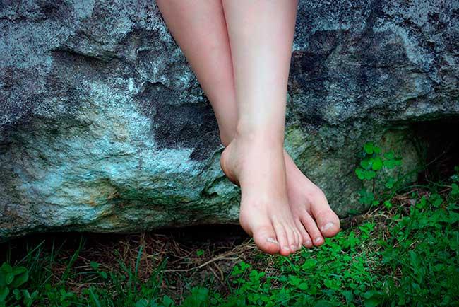 aceite del árbol de té