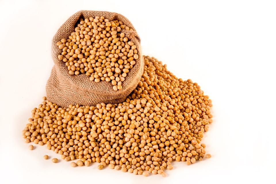 lecitina de soja