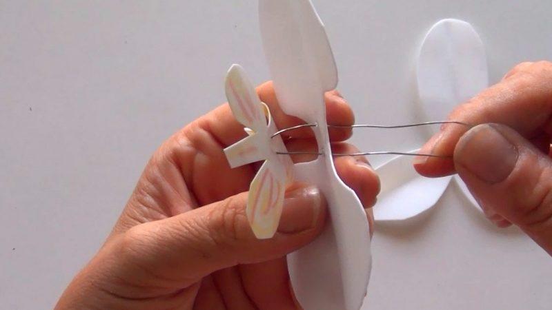 orquídeas reciclando botellas de plástico