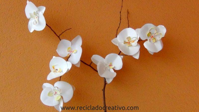 orquídeas reciclando botellas de plástico