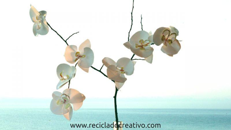 orquídeas reciclando botellas de plástico