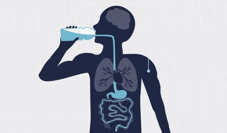 agua para el organismo