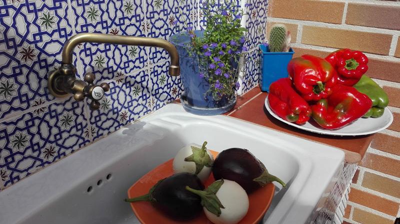 Ingredientes escalivada verduras