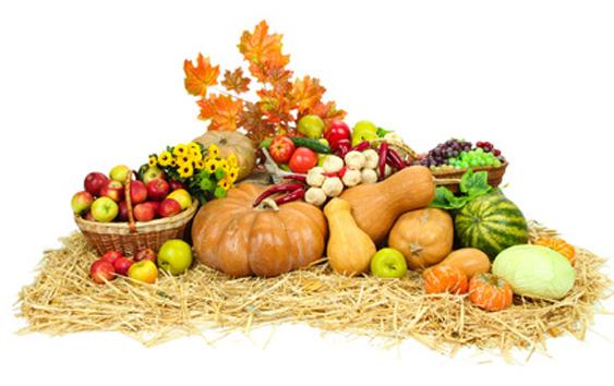 frutas y verduras del otoño