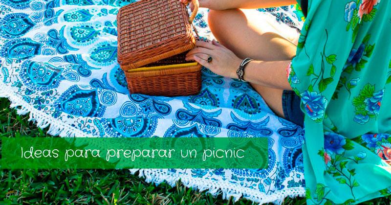 ideas-para-preparar-un-picnic-2