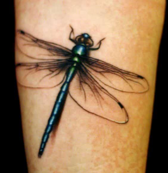 tatuajes libelulas