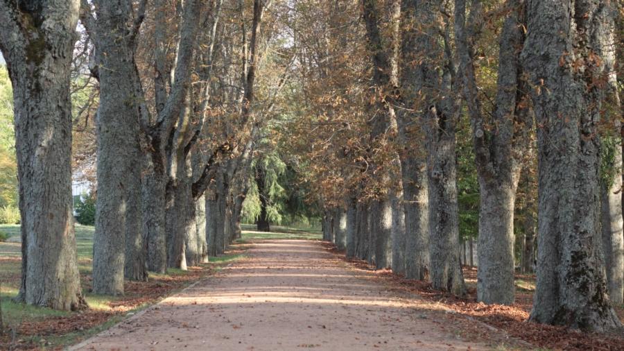 1 DIA CON NOSOTROS.IMG_2975