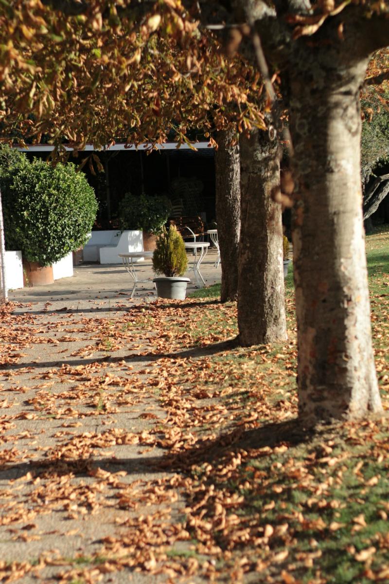 1 DIA CON NOSOTROS.IMG_2903