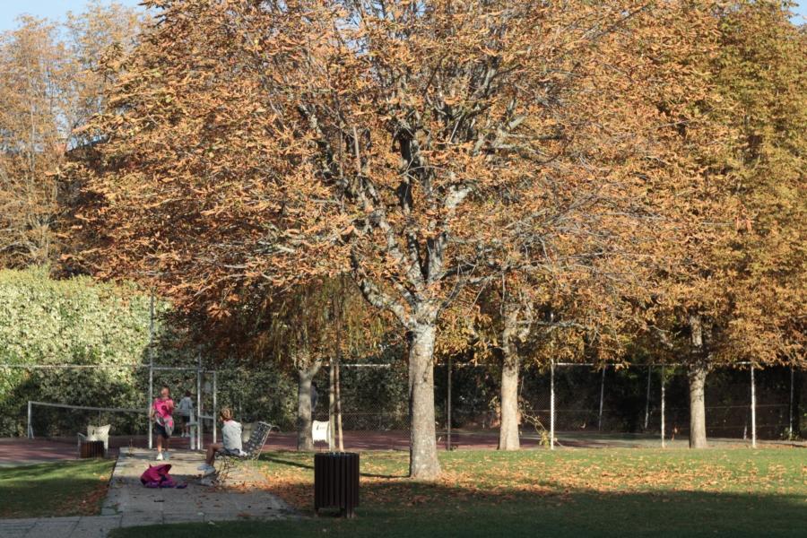 1 DIA CON NOSOTROS.IMG_2894