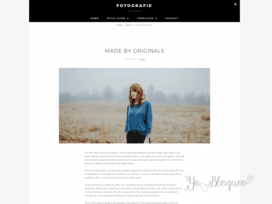 los-mejores-temas-gratis-de-wordpress-en-2018