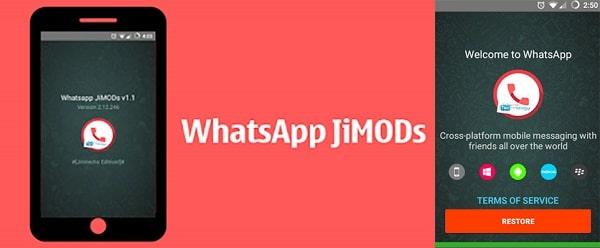 whatsapp-jimods