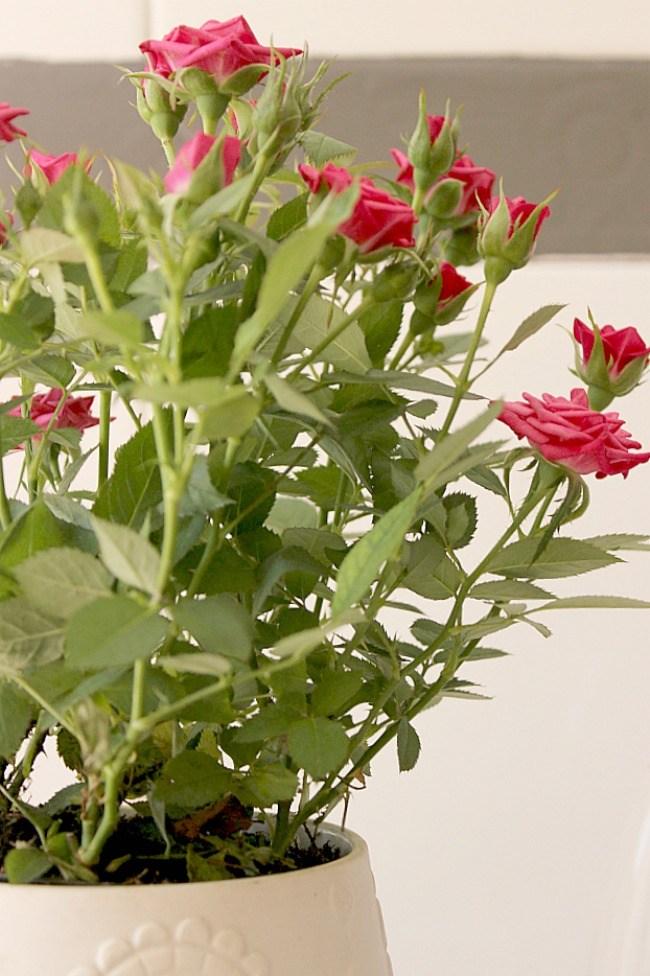 Una mesa para dos llena de rayas