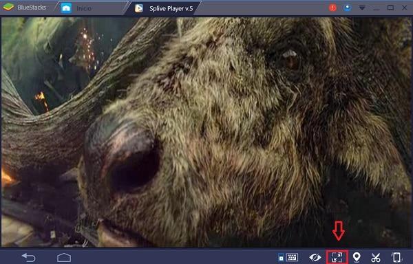 splive player para pc