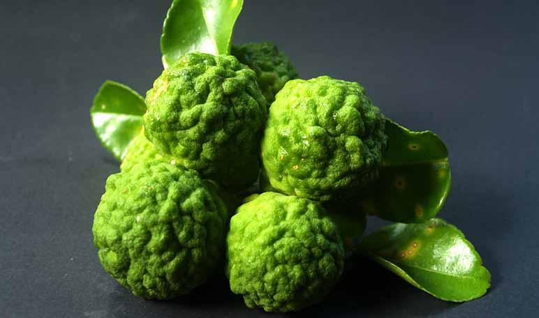 Aceites esenciales para combatir la ansiedad