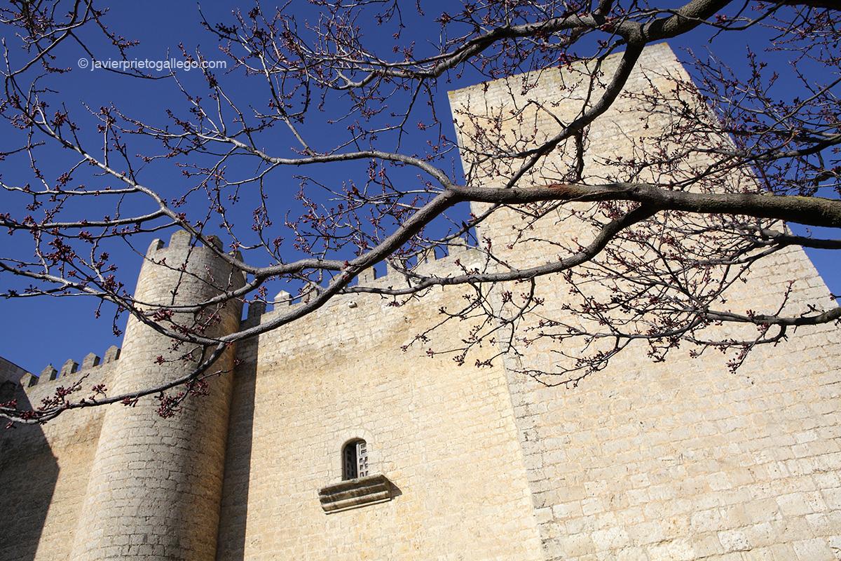 Castillo de Montealegre. Valladolid.Castilla y León. España. © Javier Prieto Gallego