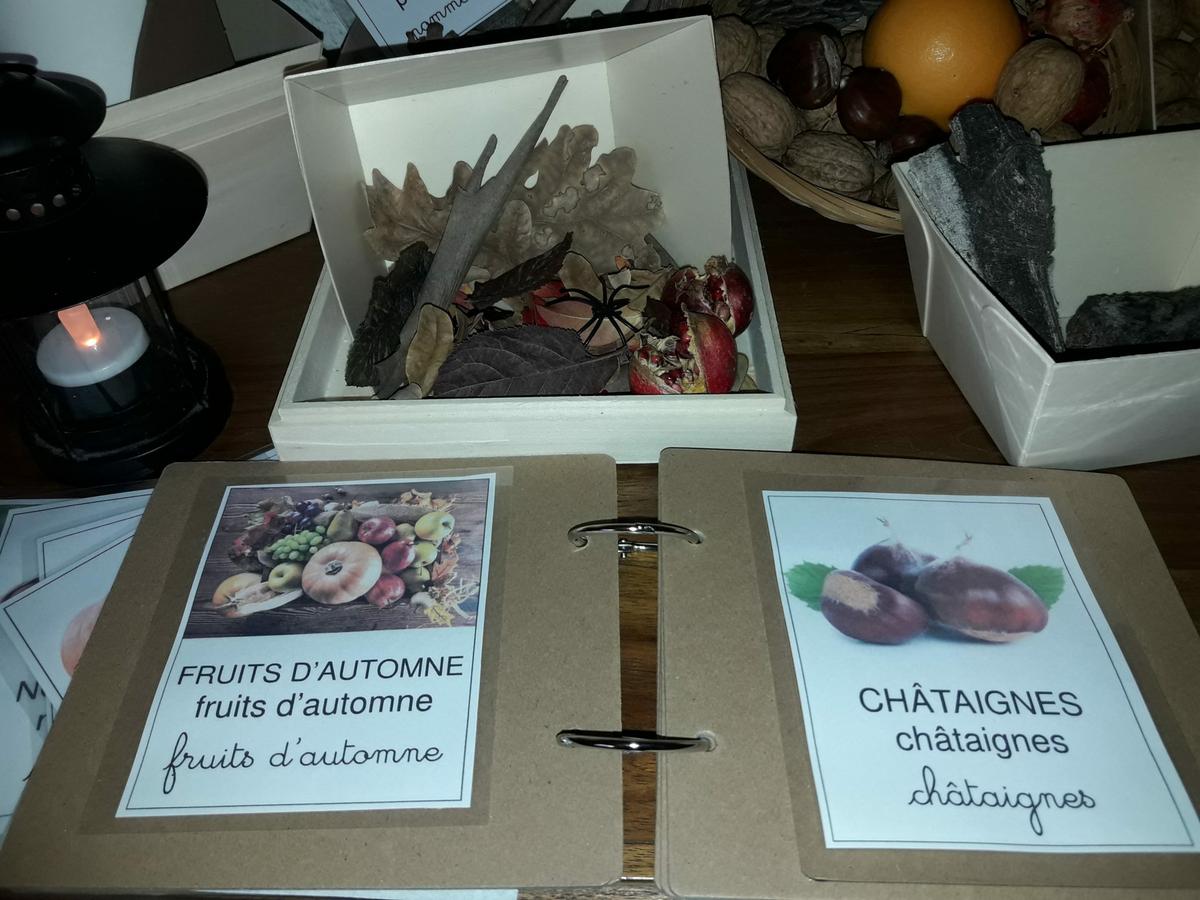 mesa de observación Montessori de otoño