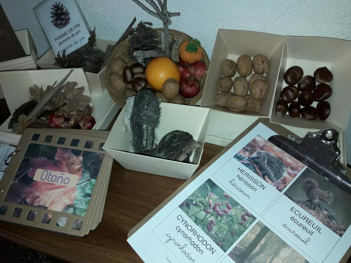 mesa de observación Montessori de otoño