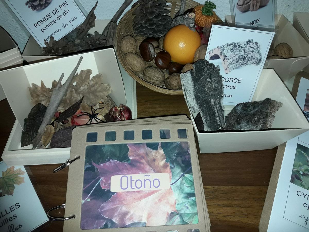 mesa de observación Montessori de otoño