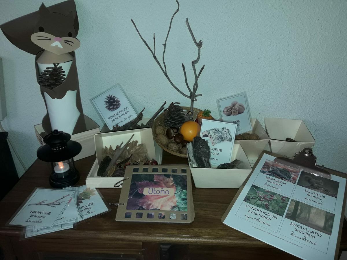 mesa de observación Montessori de otoño