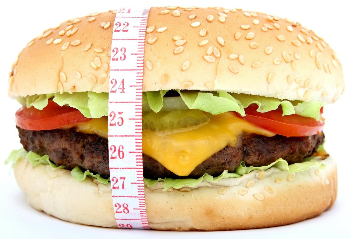 metabólico, obesidad, dieta