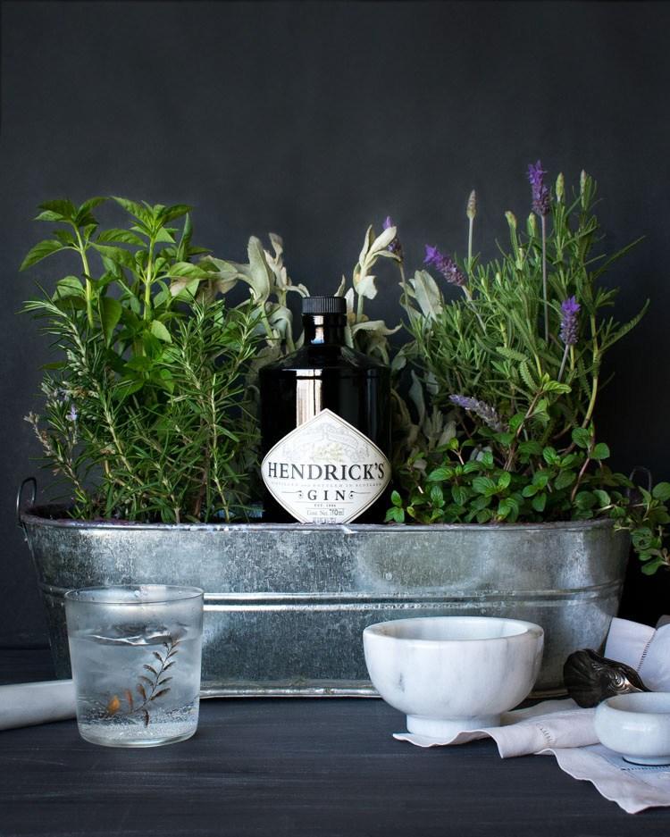 gin hendricks con plantas aromáticas
