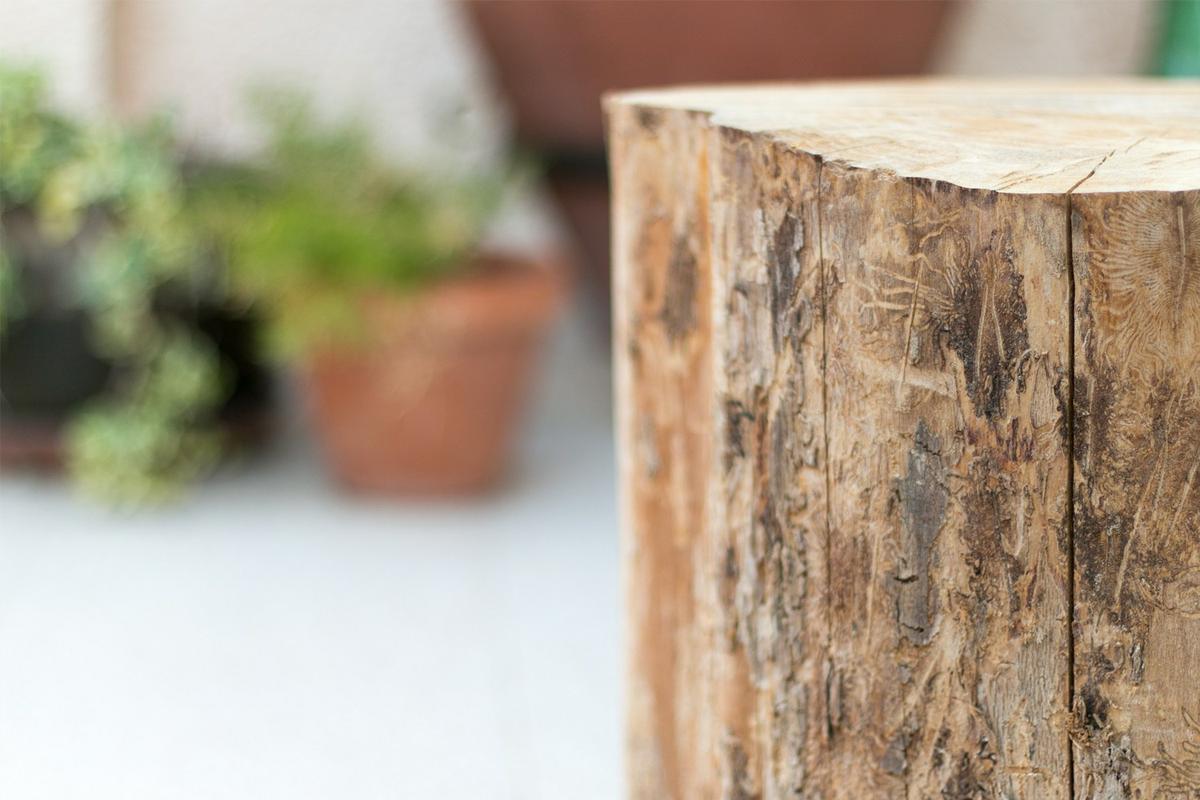 Cómo hacer una mesita con un tronco diy, paso 1, visto en "I am a Mess Blog"