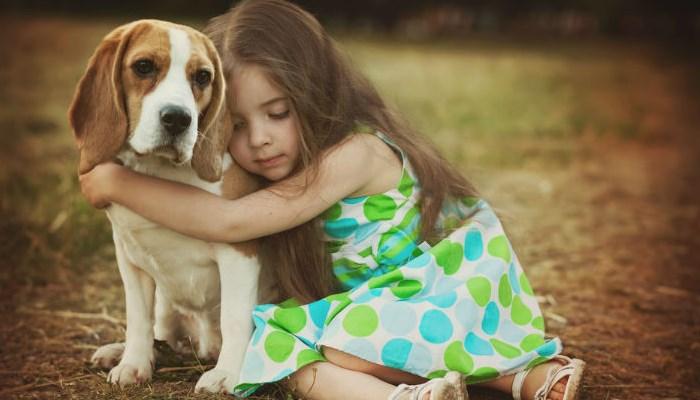 Los Perros Beagle y los niños