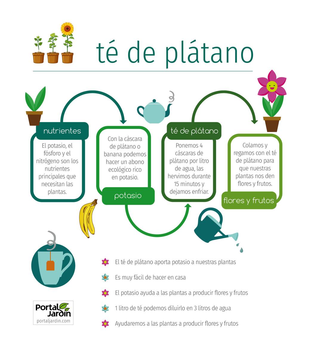 Té de plátano para flores y frutos