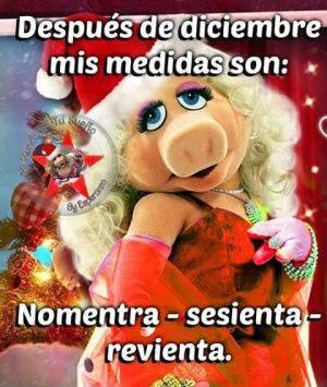 felicitaciones de año nuevo graciosas y originales para WhatsApp 2018 memes graciosos de navidad imagenes divertidas para christmas frases para enviar por correo Facebook o Telegram en nochevieja
