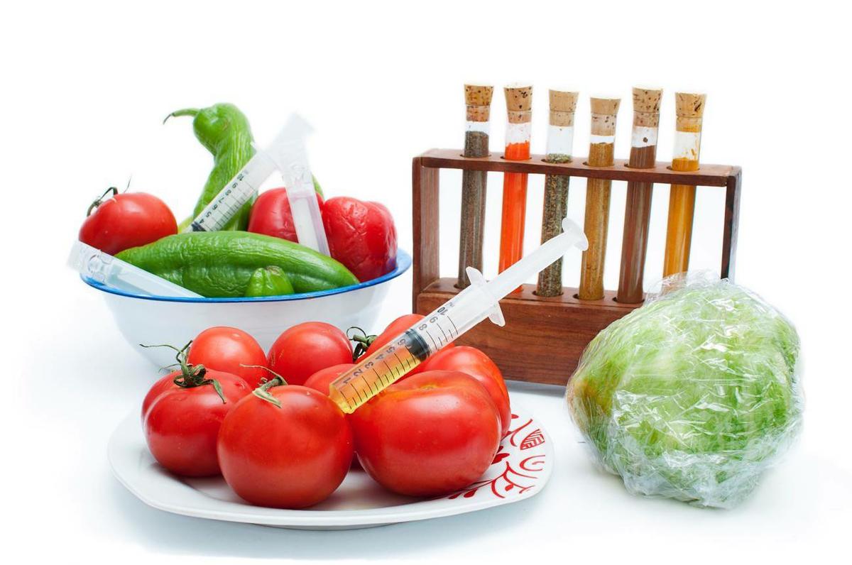 alimentos transgénicos