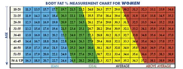 Image result for ideal fat percentage