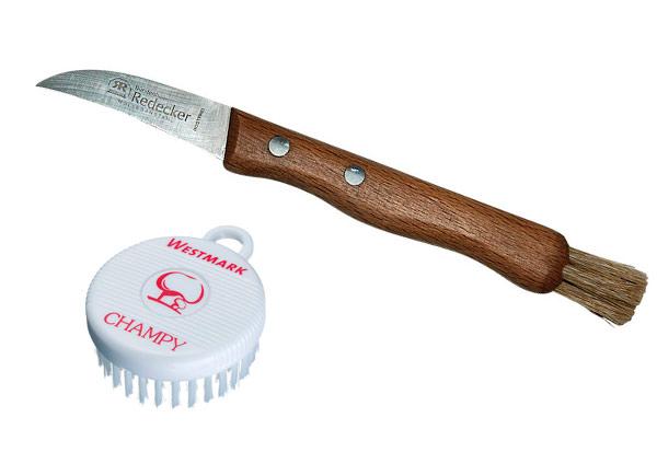 cepillo-limpiar-setas3