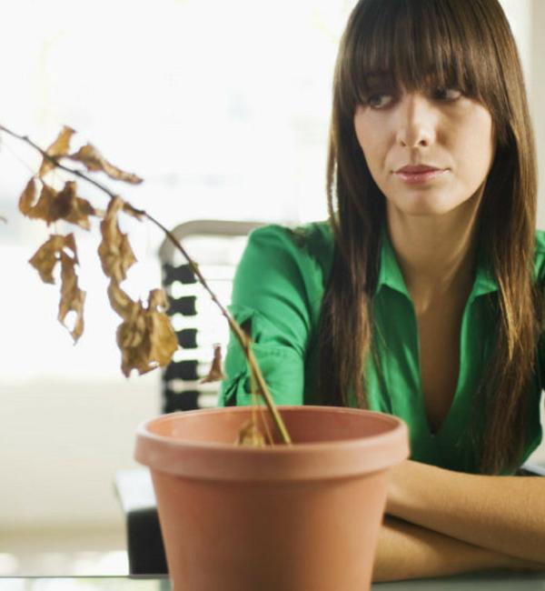 el-poder-de-decorar-con-feng-shui-la-casa