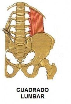core-cuadrado-lumbar