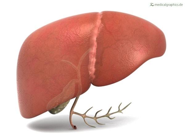 Cómo curar el hígado graso de forma natural