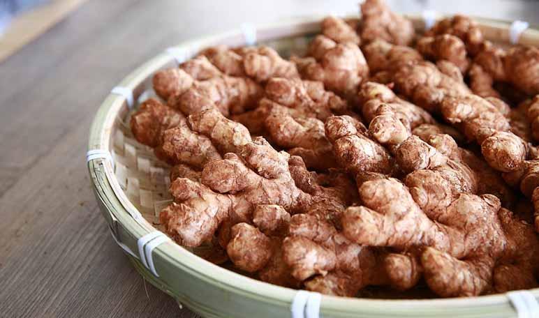 Remedios caseros para la bronquitis - Trucos de salud caseros