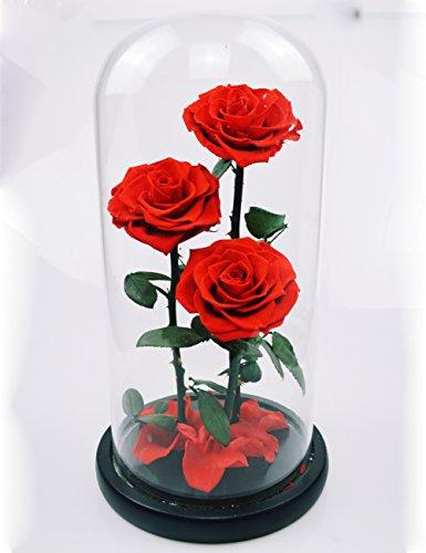 Preserved Rose Never Withered Roses Flower in Glass Dome, Gift for Valentines Day Anniversary Birthday (Red 2)