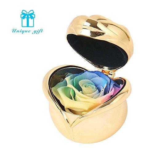 Gifts For Women,Handmade Preserved Rose, Never Withered Roses, Upscale Immortal Flowers,Gifts For Mom,Her,Sister, Mothers Day,Valentines Day, Anniversary, Birthday,Wedding (Rainbow Rose)